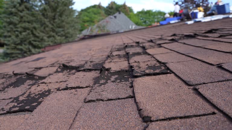 Professional Roof Repair & Installaion in Stroudsburg, PA